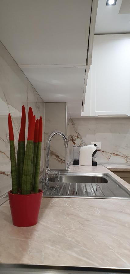 Luxury Drijon - 3j Shkodër